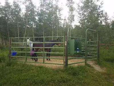 Horse corrals are available for each campsite.