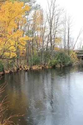 The Commonwealth of Virginia - panoramio (20)