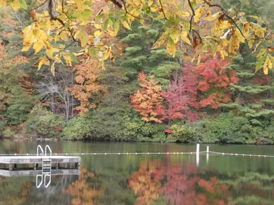 View of Lake Winfield Scott (6241614986)