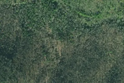 Dahlonega, GA Site 29