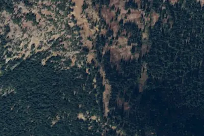Camp site
