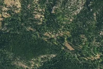 U.S. Forest Service Site 3
