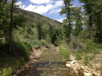 2014-06-24 13 40 03 View down the Jarbidge River from Elko County Route 748 (Charleston-Jarbidge Road)