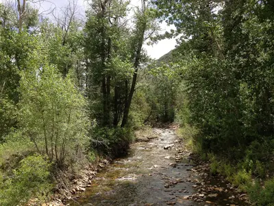 2014-06-24 13 39 53 View up the Jarbidge River from Elko County Route 748 (Charleston-Jarbidge Road)