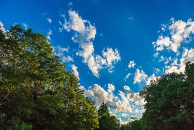 Bunker Hills Regional Park, Minnesota (35331432836)
