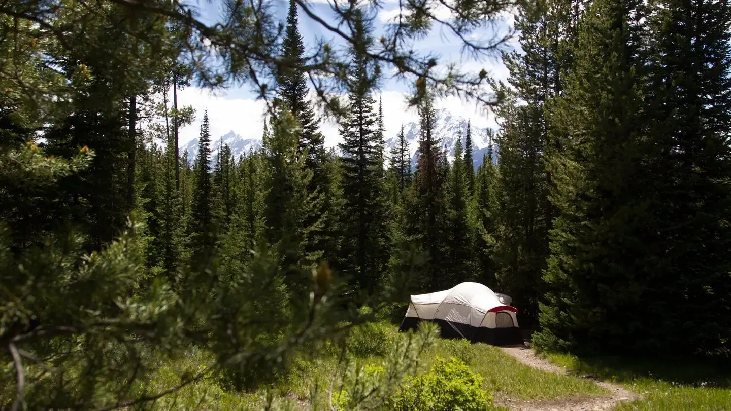 Colter Bay Campground Tent Site