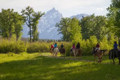 Colter Bay Horseback Riding