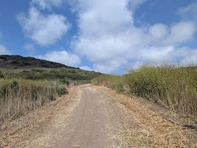 Crystal Cove State Park - 54547656359