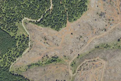 Abbott Creek Campground