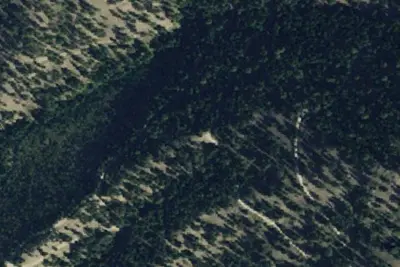 U.S. Forest Service Site 731