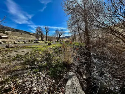 Peaceful Picnic (55185848011)