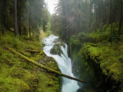 Sol Duc Falls 2022