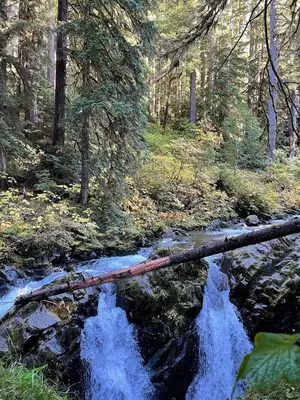 Waterfalls in Olympic National Park