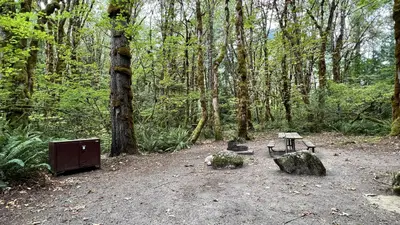 Goodell Creek Campground