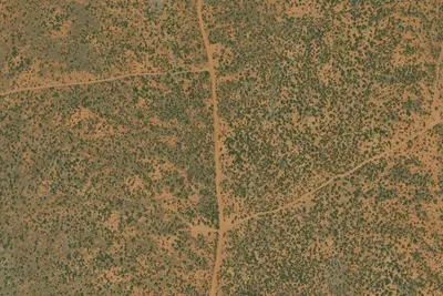 U.S. Fish and Wildlife Service Site 29
