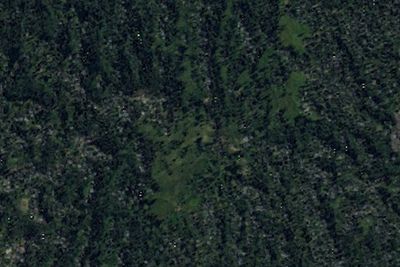 Camp site