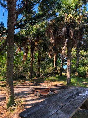 Middle Dredge Campsite