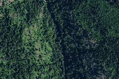 Rd 438 Site 3b