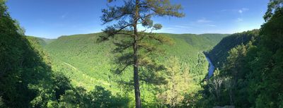 2022-06-14 16 38 21 Panoramic view across Pine Creek Gorge from an overlook within Colton Point State Park in Shippen Township, Tioga County, Pennsylvania