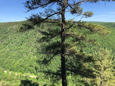 2022-06-14 16 38 10 View east across Pine Creek Gorge from an overlook within Colton Point State Park in Shippen Township, Tioga County, Pennsylvania