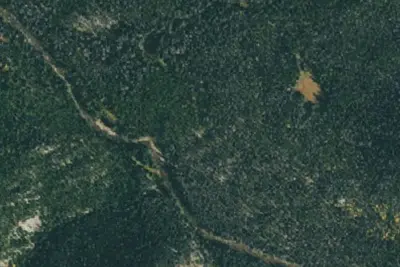 U.S. Forest Service Site 15