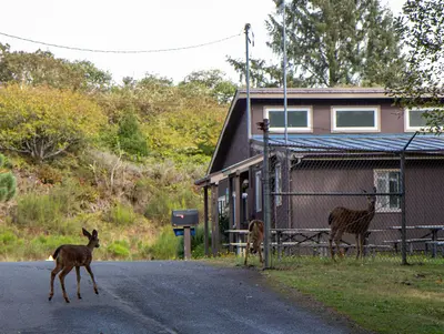 Fort Stevens State Park (49191058181)