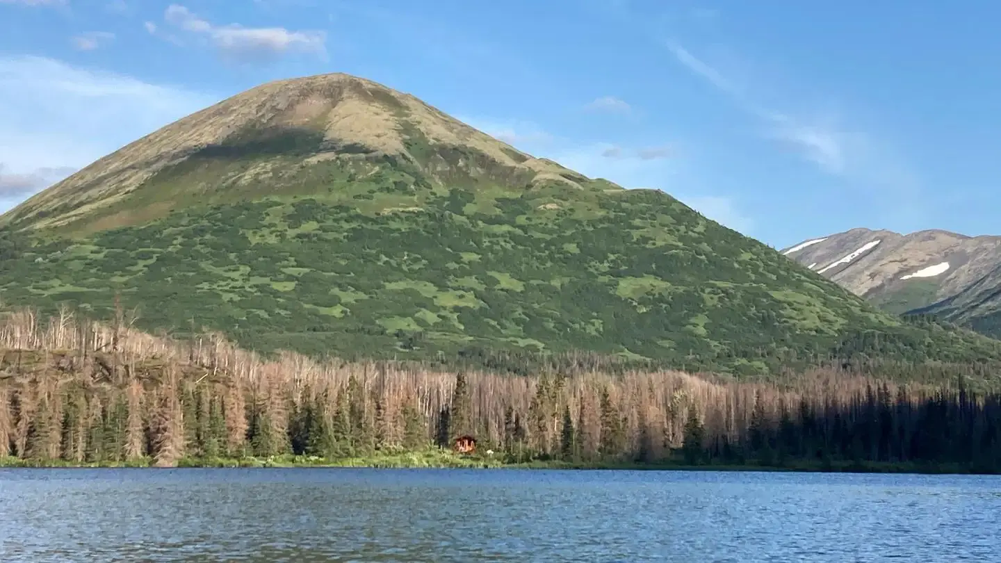 Romig Cabin