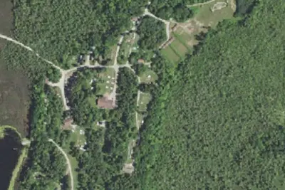 Whispering Pines