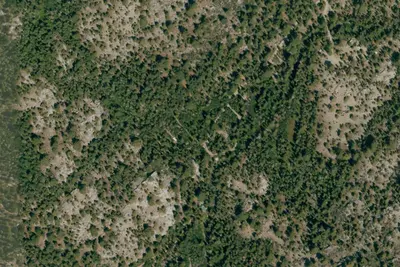 Green Creek Campground
