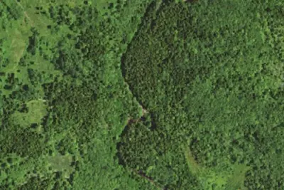 Camp site