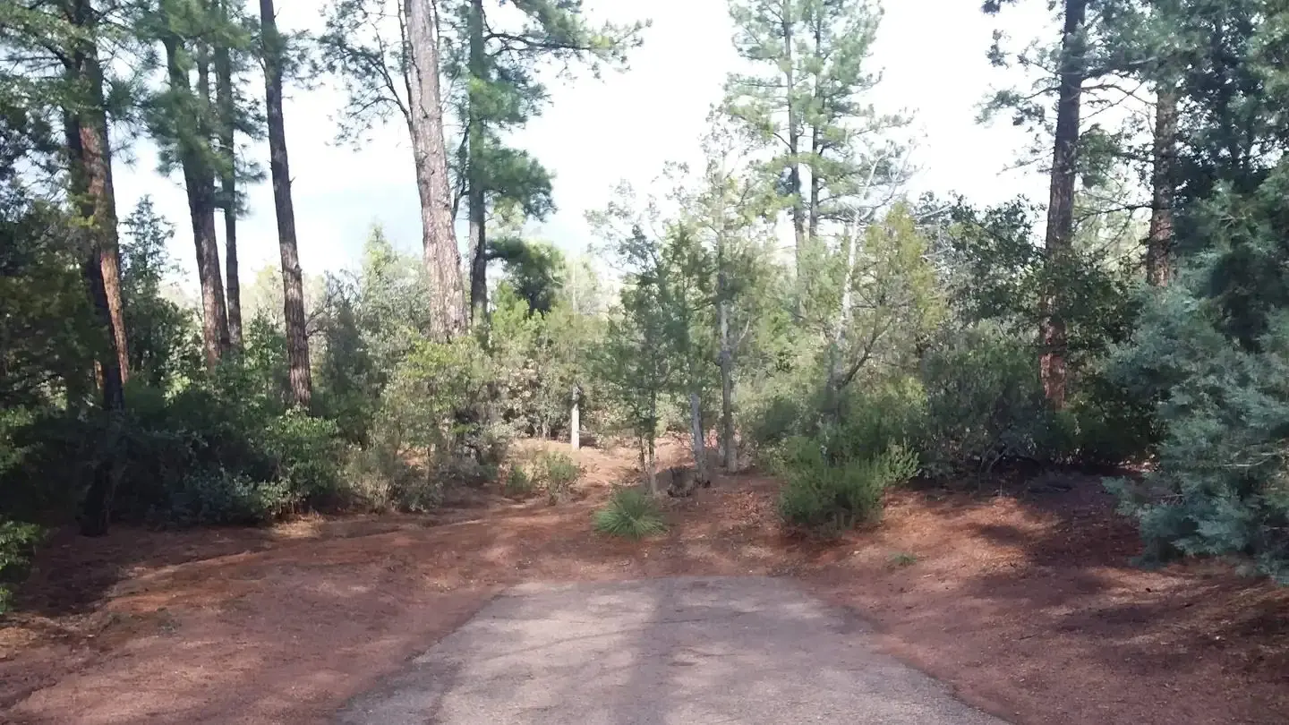 Houston Mesa wooded view of trees and vegetation