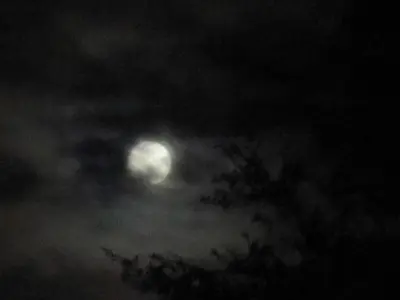 Supermoon - March 19, 2011 - panoramio