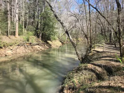 Sipsey Wilderness 2018 01