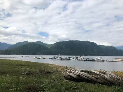 Cougar Creek (48628000746)