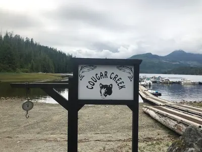 Cougar Creek (48628000871)