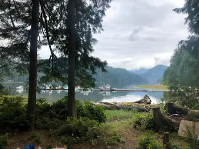 Cougar Creek (48627649058)