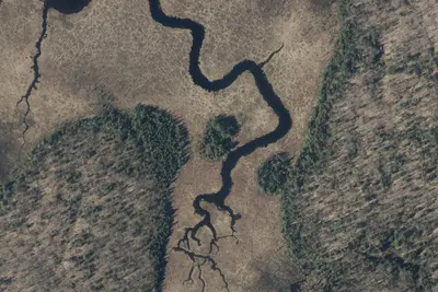 Camp site