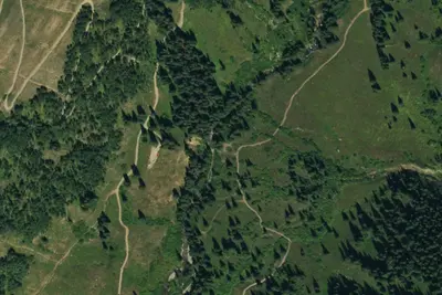 Camp site