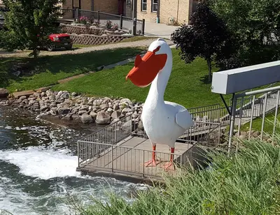Pelican Pete, Pelican Rapids, Minnesota from above
