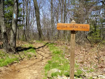 Blood Mtn - panoramio