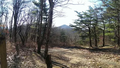 The view from Freeman-AT east intersection - panoramio