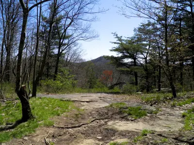 Blood Mtn - panoramio (1)