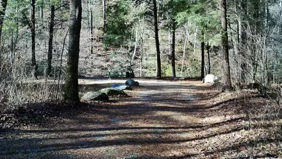 Campsite #3