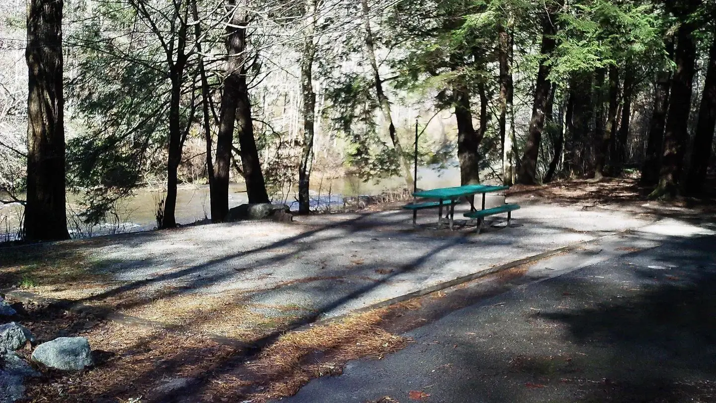 Campsite #1