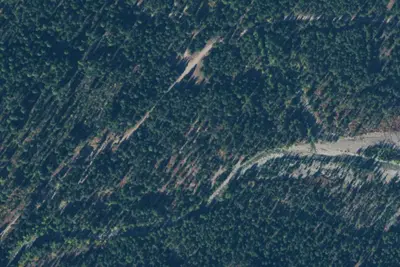 Camp site