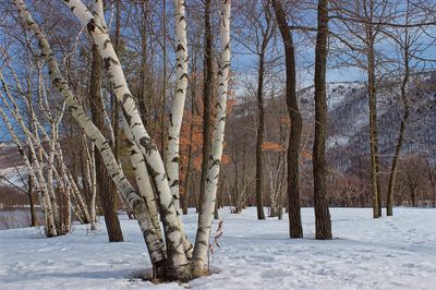 Riverview Park (4) (12735034203)