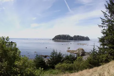 The ocean from the Lake Ozette trail - panoramio