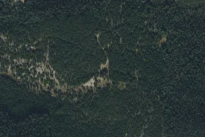 Bear Fork Road-010