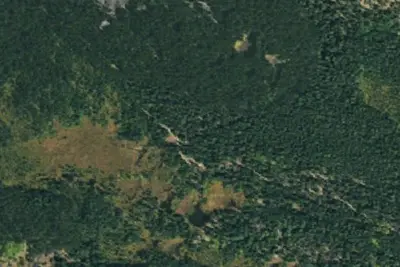 Camp site