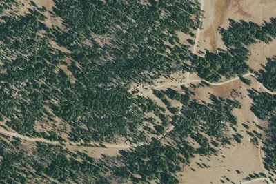 Camp site